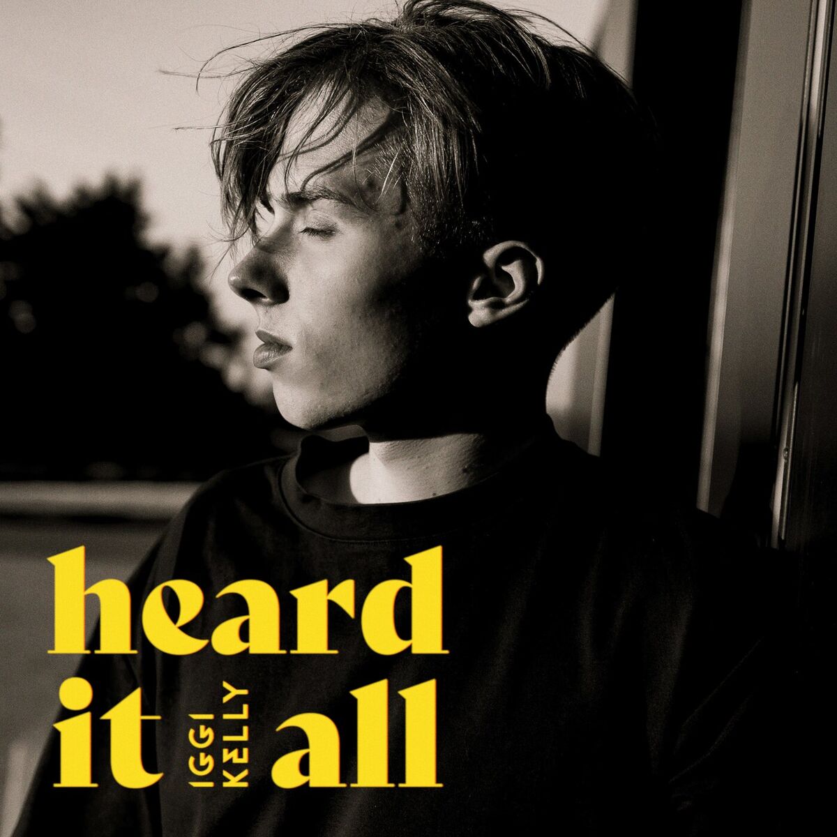 Album cover of Heard It All