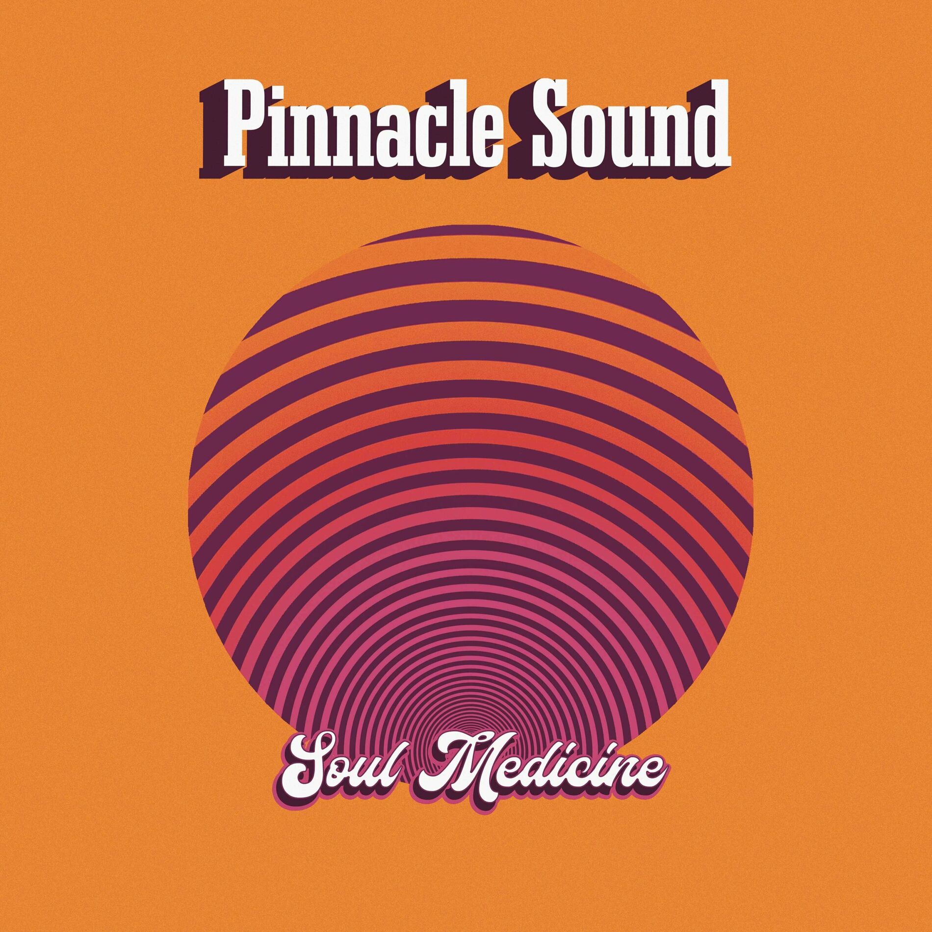 Album cover of Soul Medicine