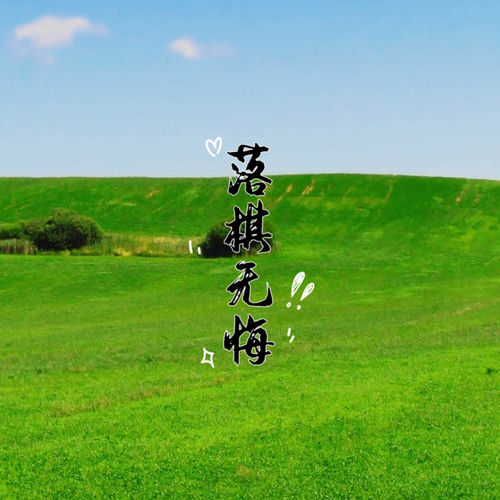 落棋无悔