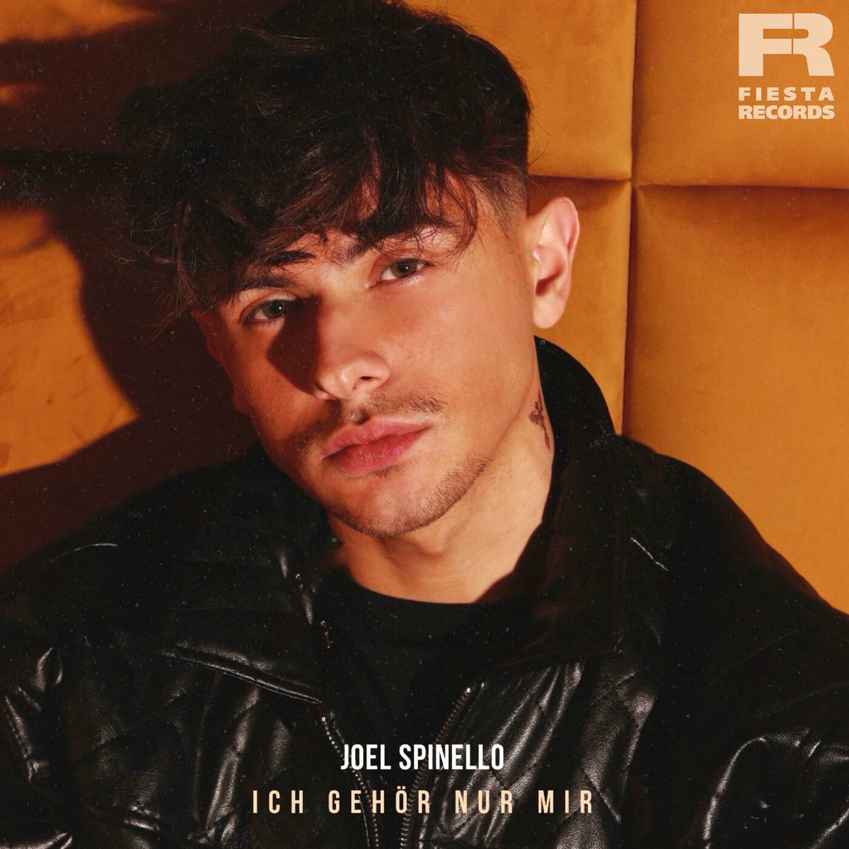 Album cover of Ich gehör nur mir