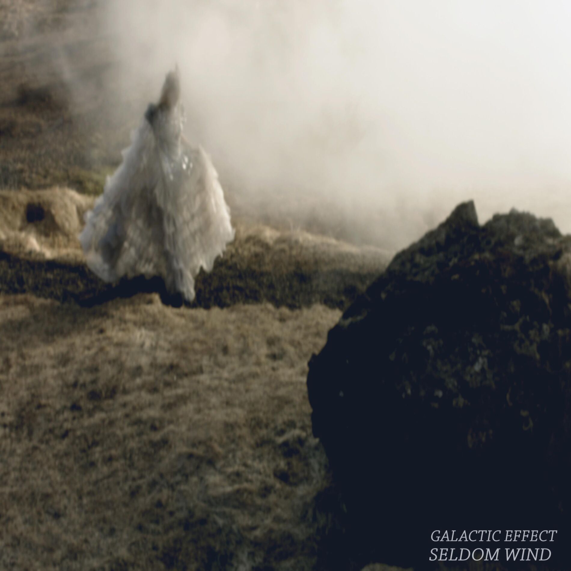 Album cover of Seldom Wind