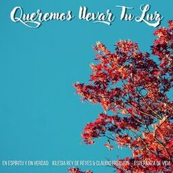 Cover of Queremos Llevar Tu Luz