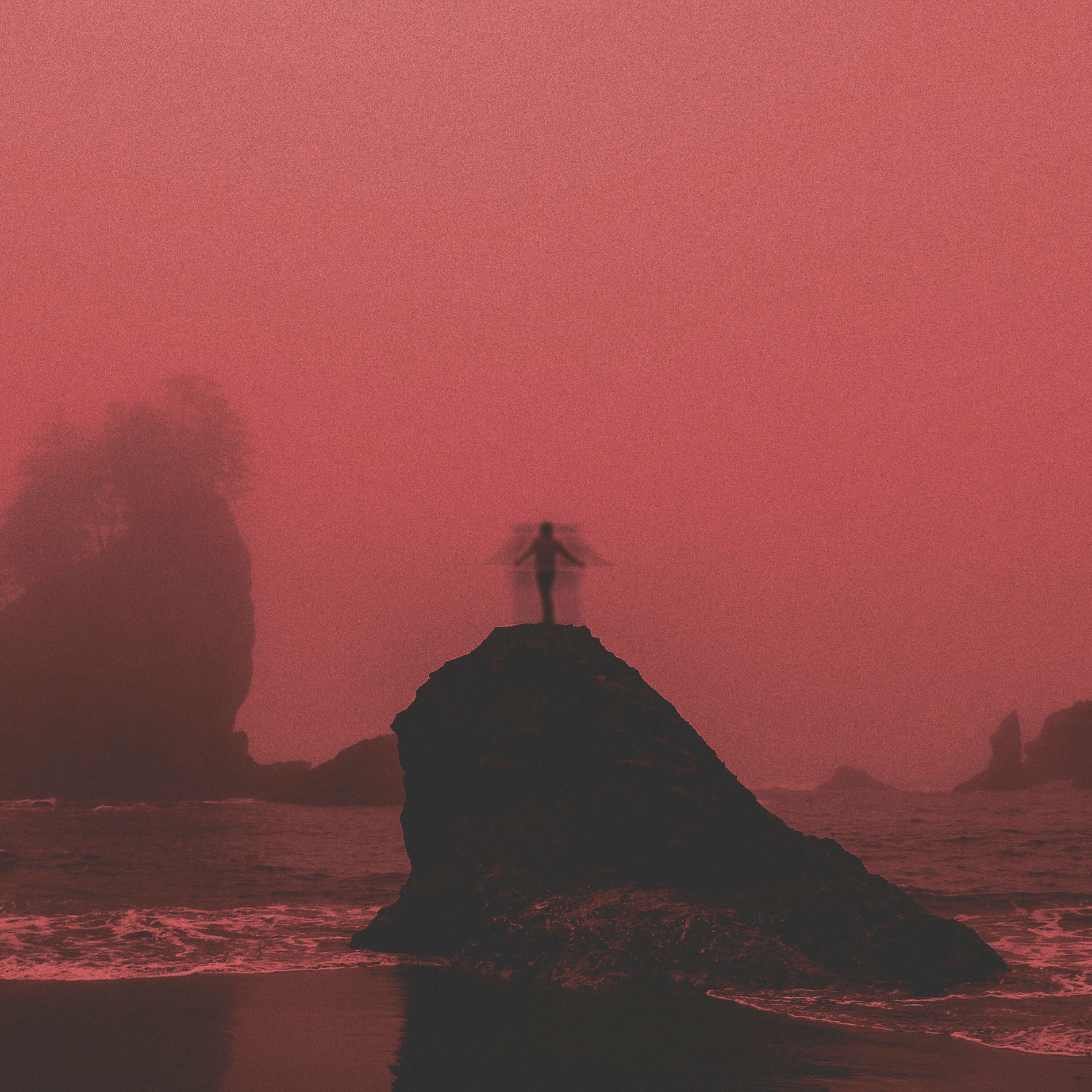 Album cover of free