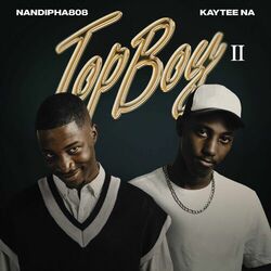 Cover of TopBoy II