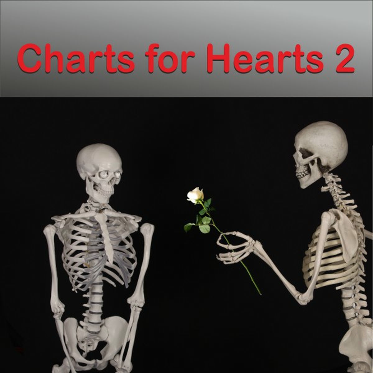 Album cover of Charts for Hearts 2