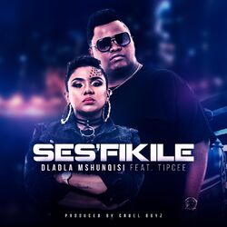 Cover of Ses'fikile