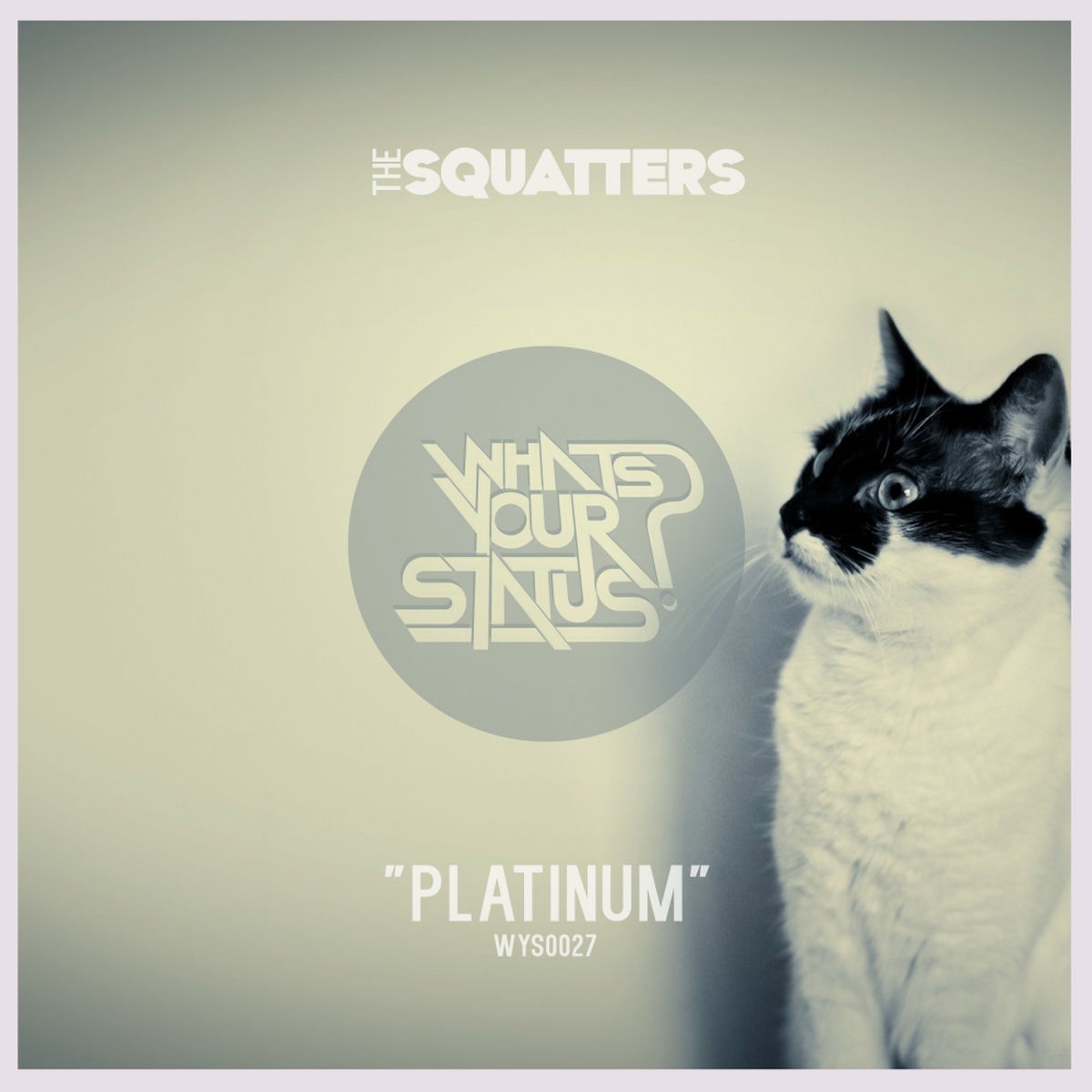 Album cover of Platinum