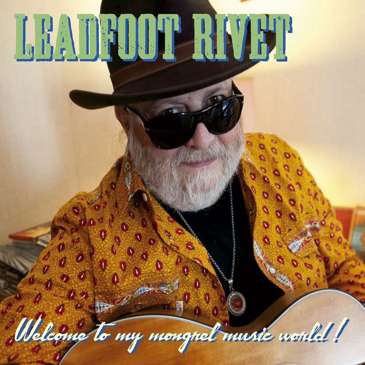 Album cover of Welcome to my mongrel music world