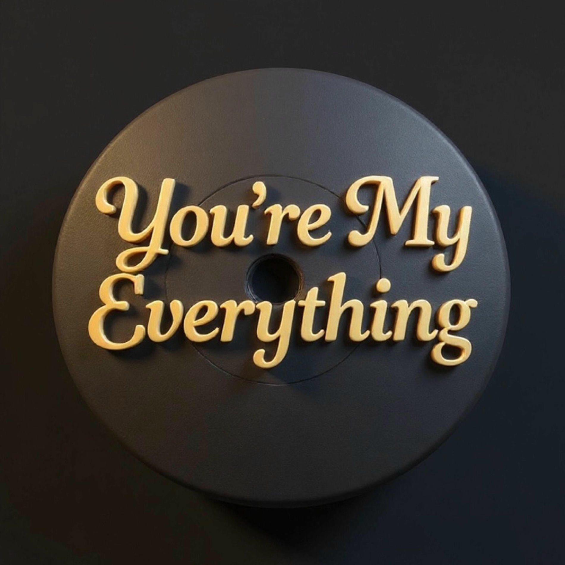 Album cover of You're My Everything (feat. T2)