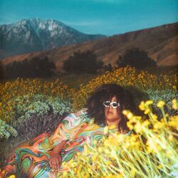 Cover of What Now