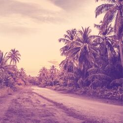 Cover of Music for Travels (Bossanova)