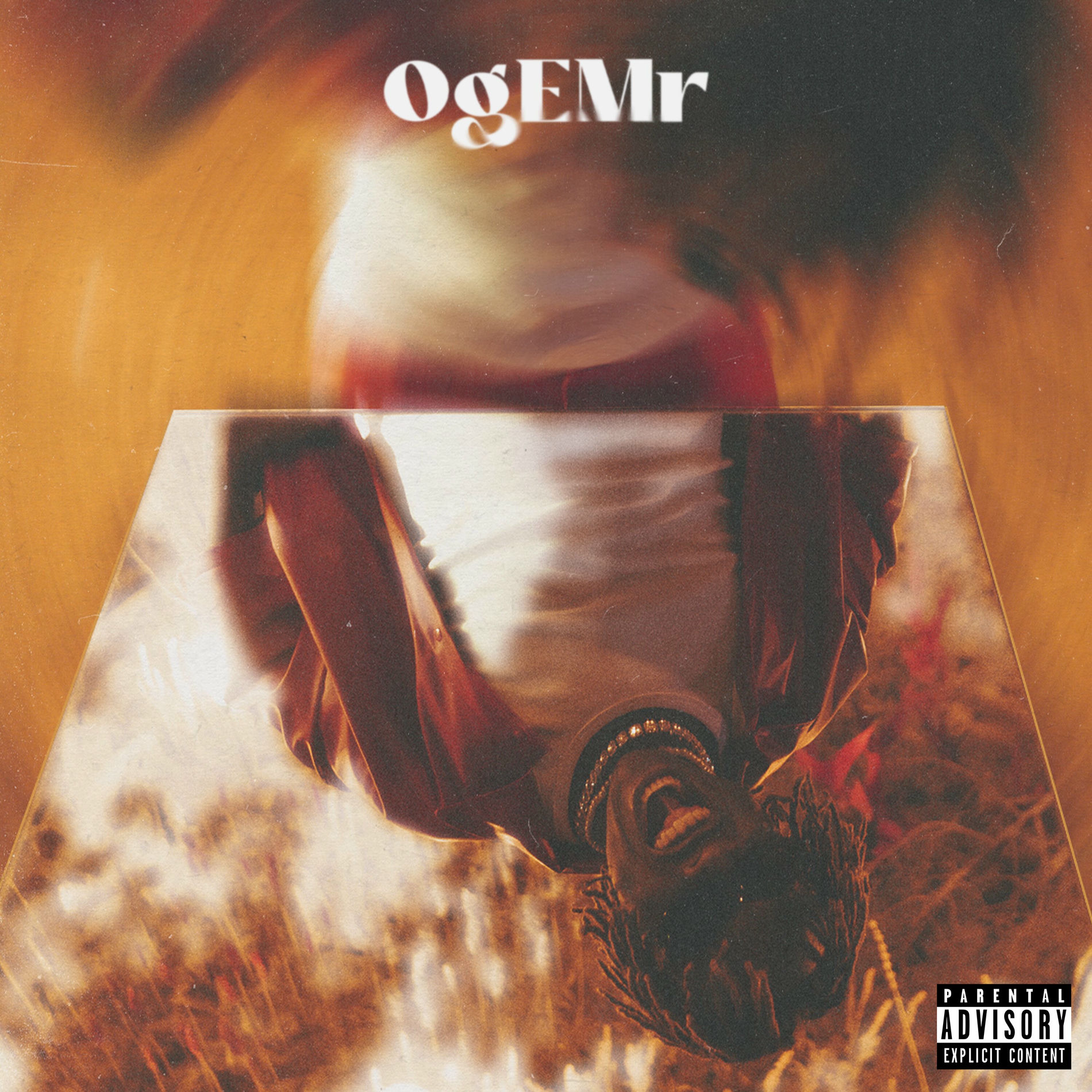 Album picture of OgEMr