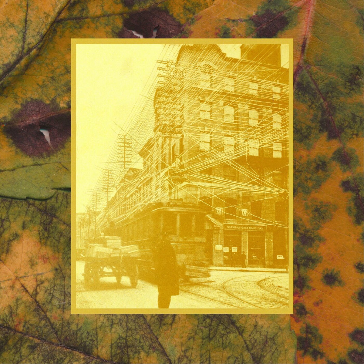 Album cover of Ramage