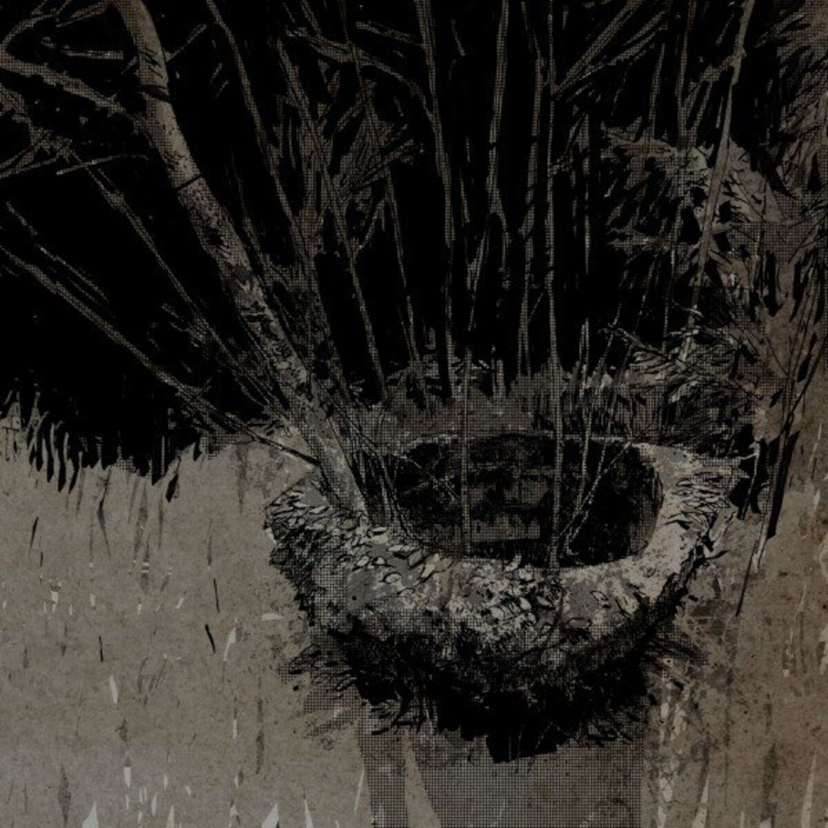 Album cover of Toivomuskaivo