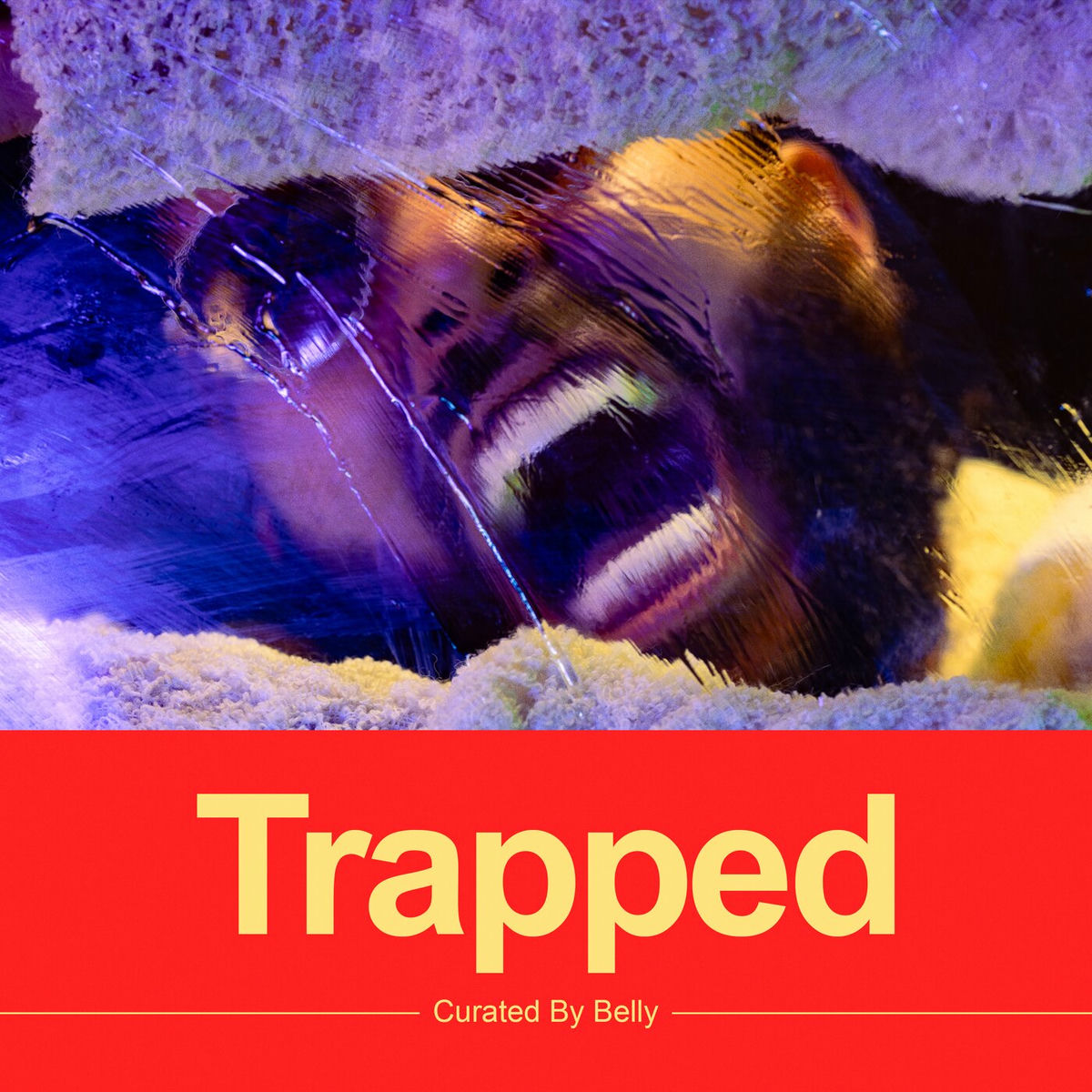 Album picture of Trapped
