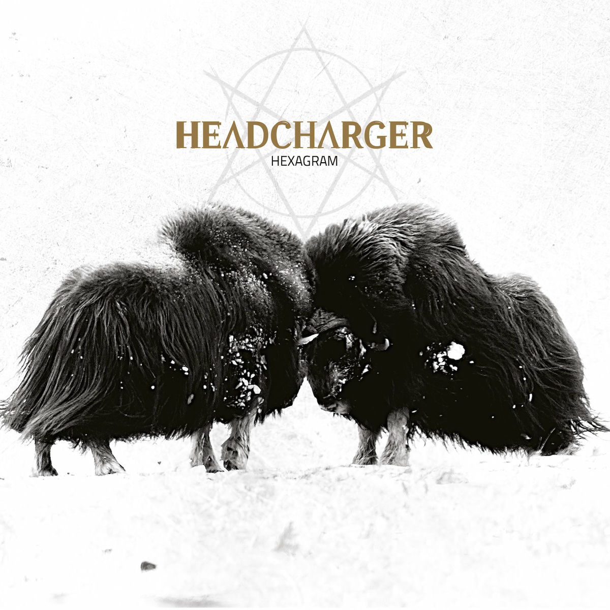 Album cover of Hexagram