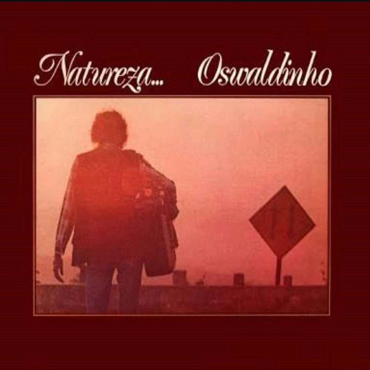 Album cover of Natureza...