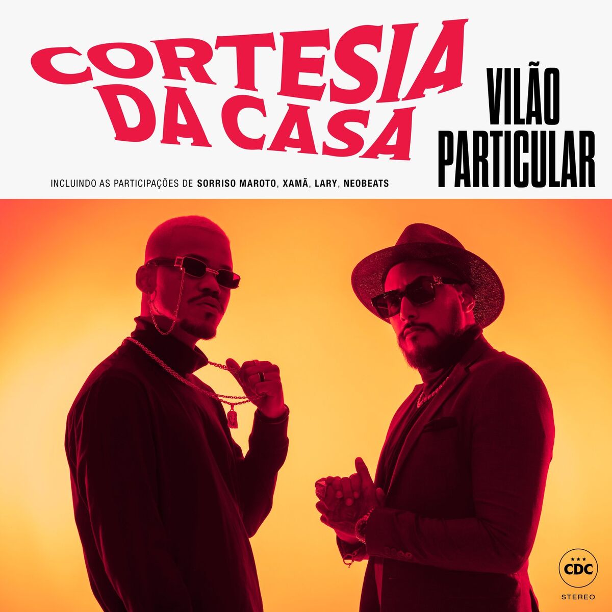Album cover of Vilão Particular