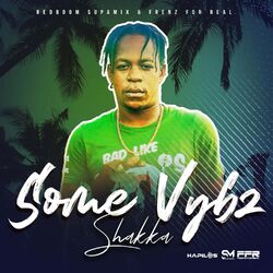 Cover of Some Vybz