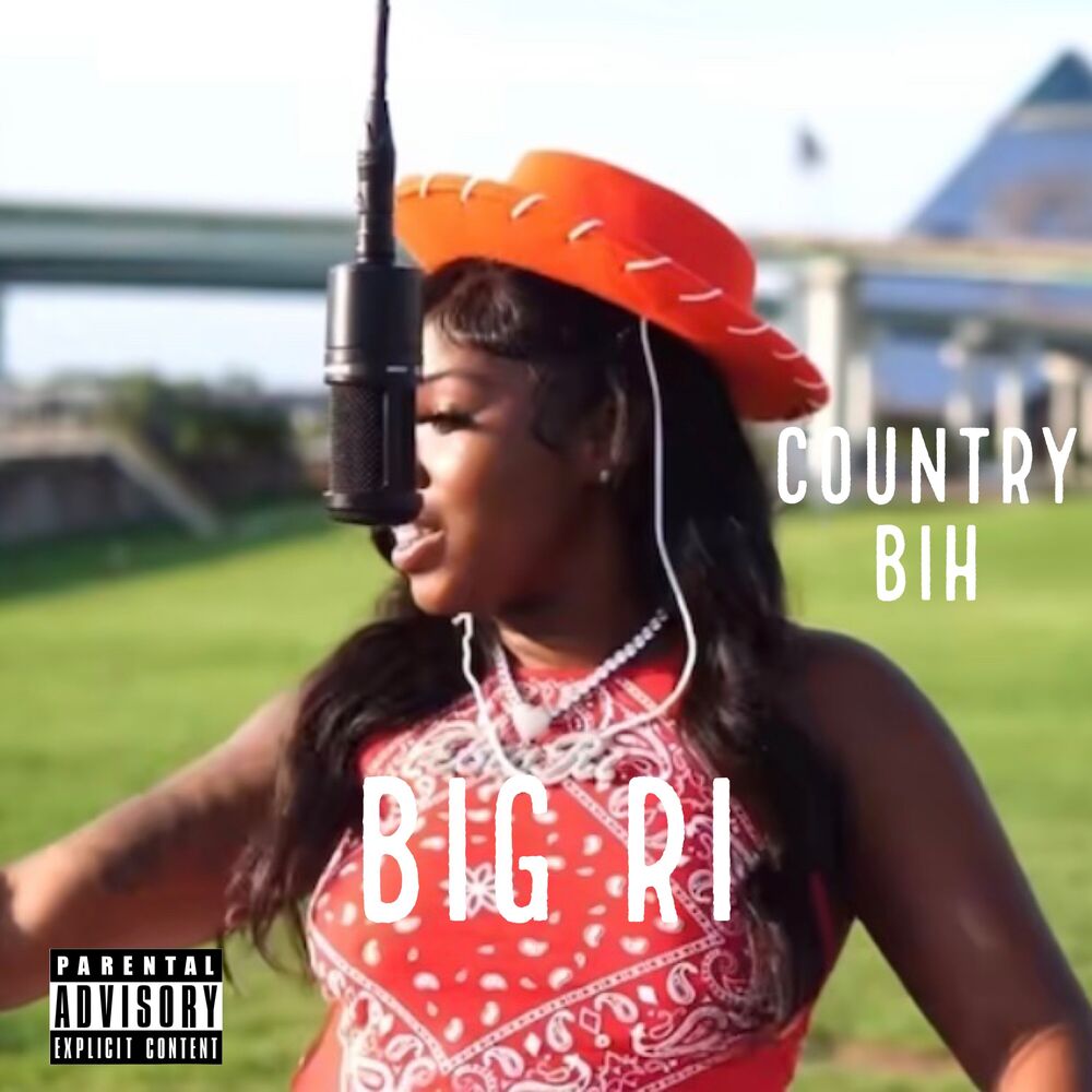 Picture of Country Bih