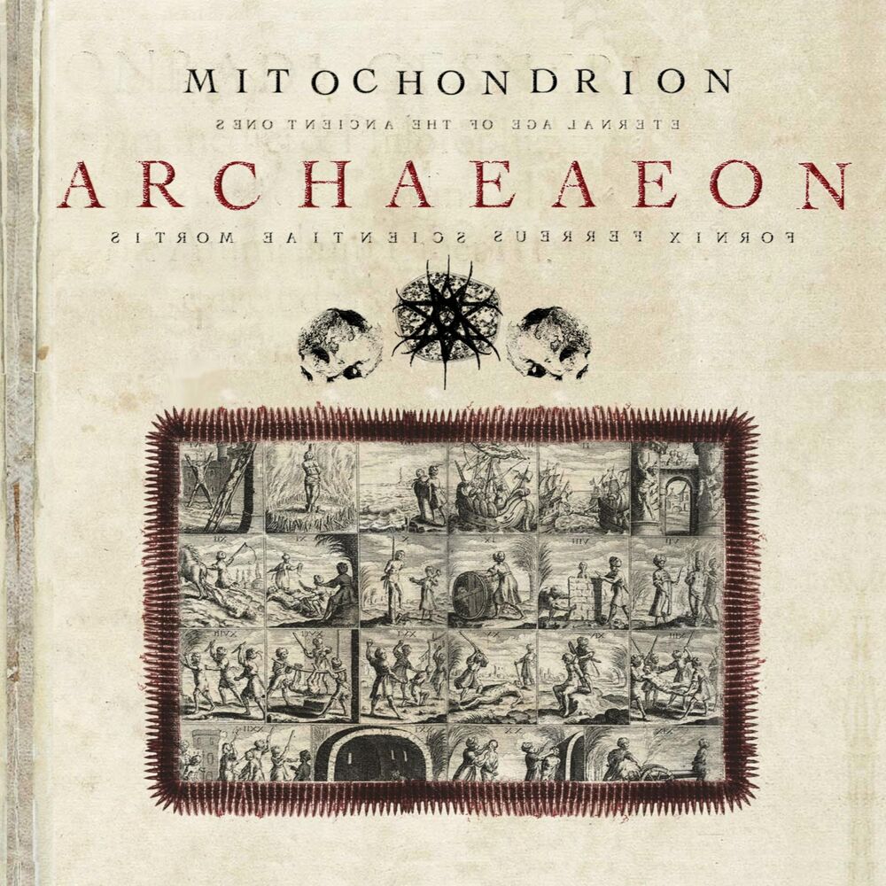 Picture of Archaeaeon