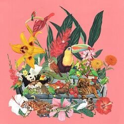 Castaways, Vol. 1