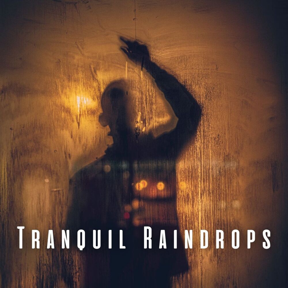 Picture of Tranquil Raindrops: Serene Relaxation with Chill Sound