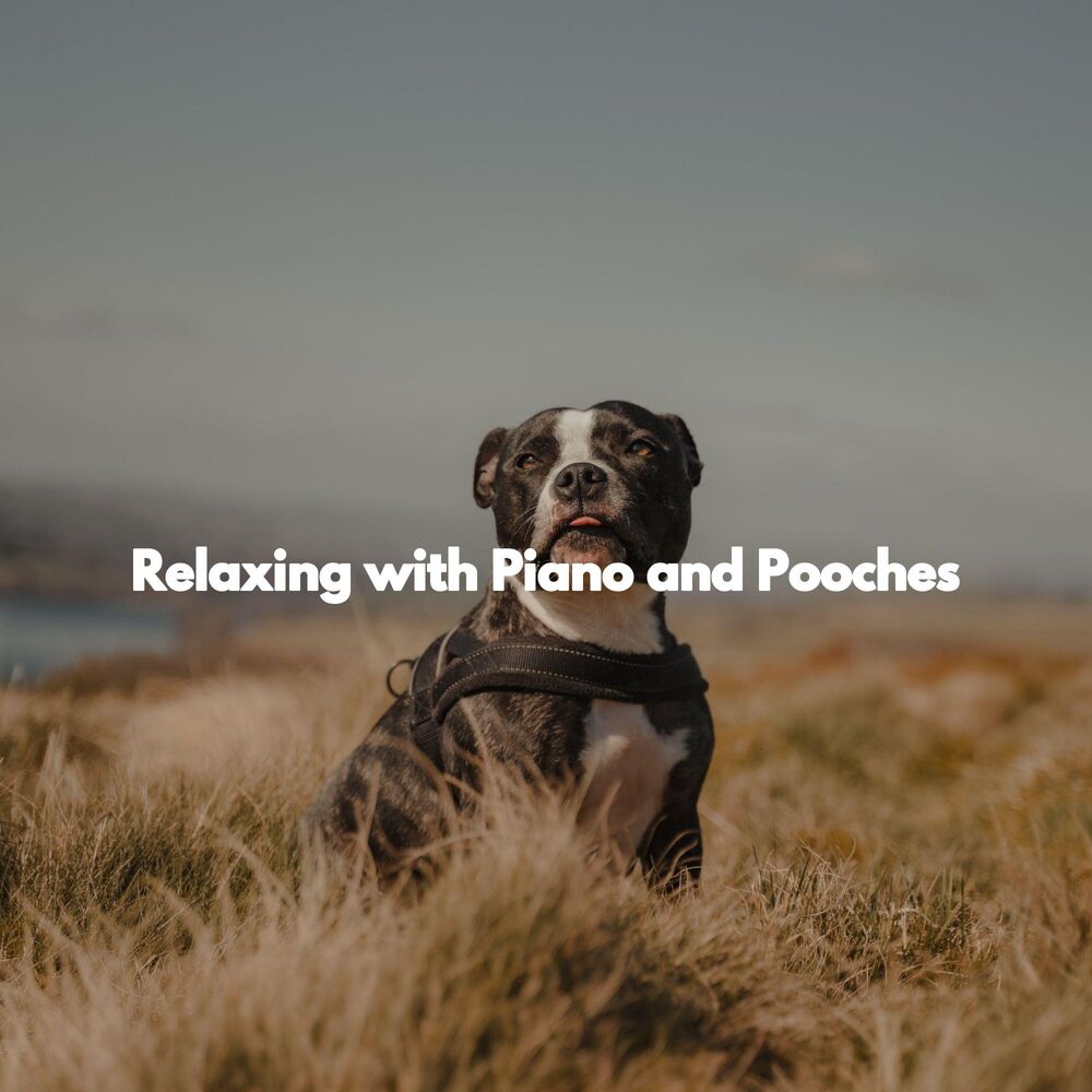 Picture of Relaxing with Piano and Pooches