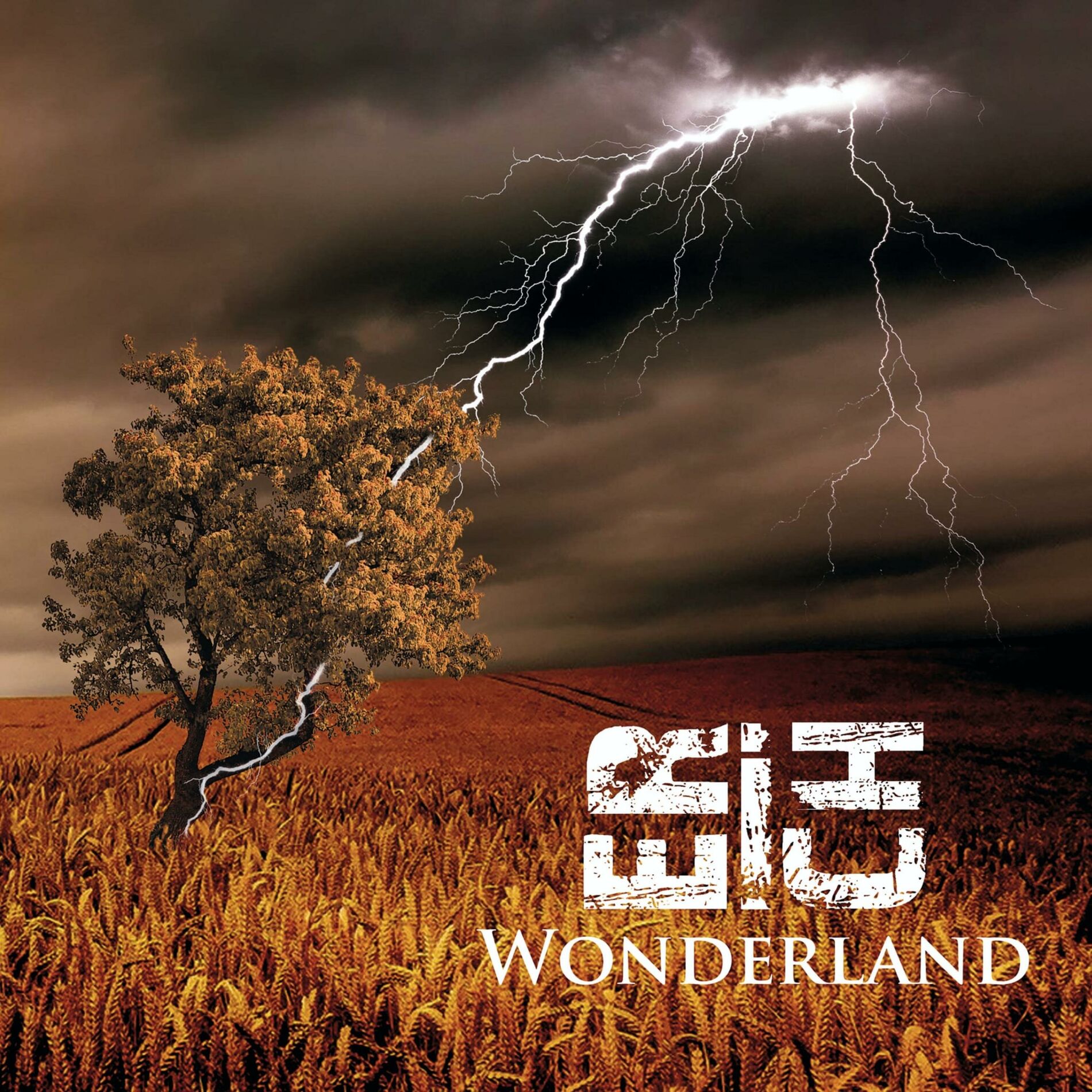 Album cover of Wonderland
