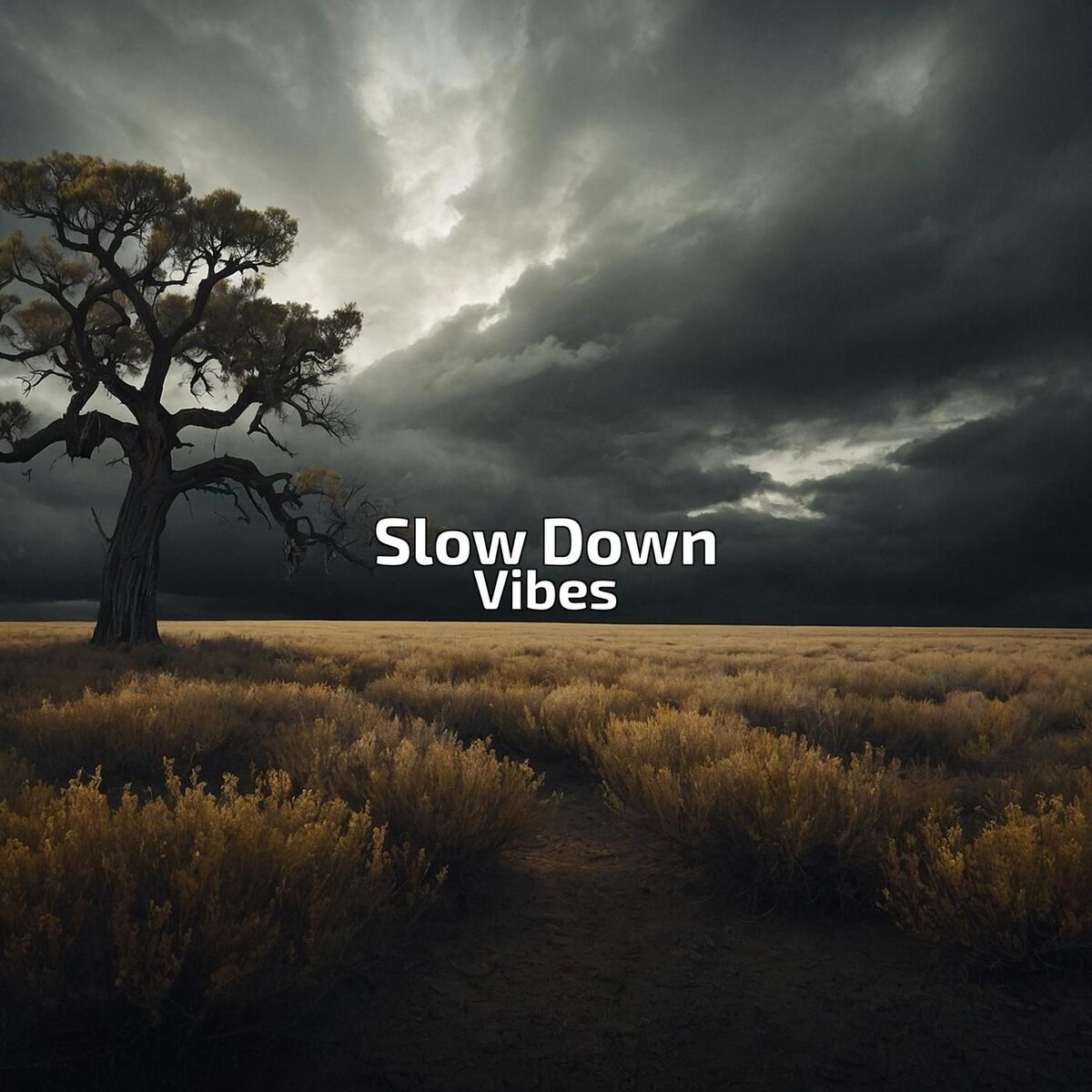 Album cover of Slow Down Vibes