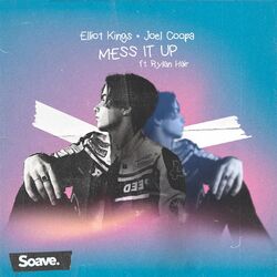 Cover of Mess It Up (feat. Rylan Hair)