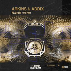 Cover of DSNB