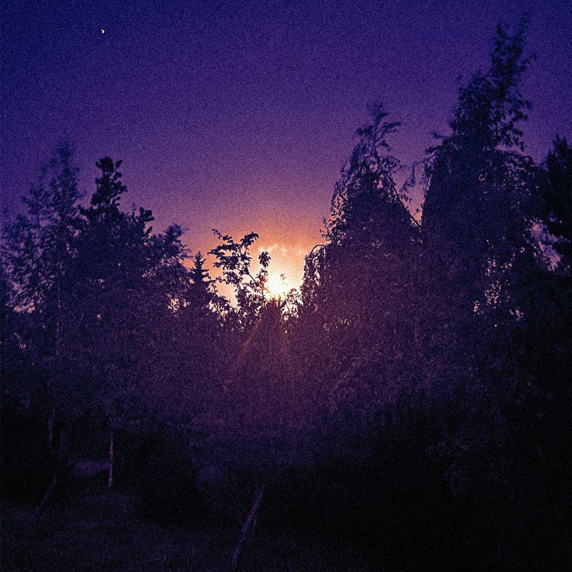 Album cover of still
