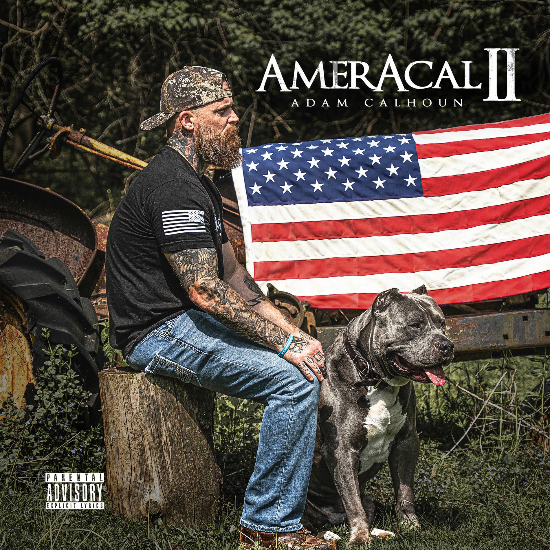Album cover of Insane