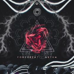 Cover of Aktum
