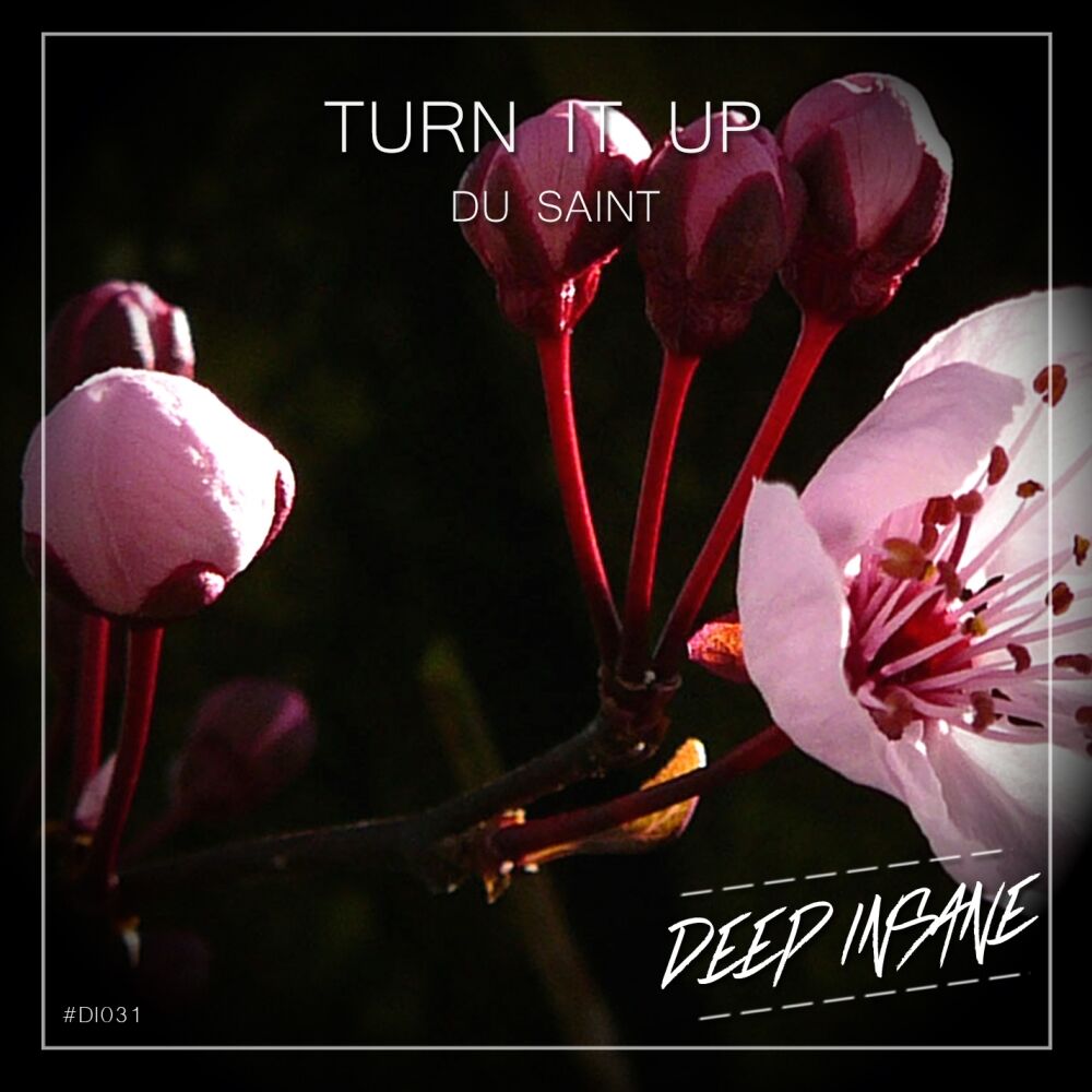 Picture of Turn It Up