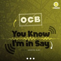 Cover of You know i'm in say