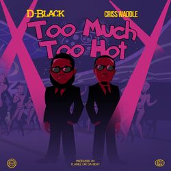 Cover of Too Much Too Hot