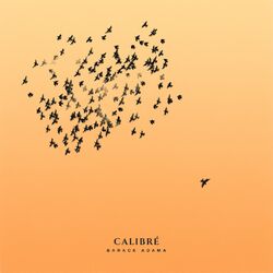 Cover of Calibré