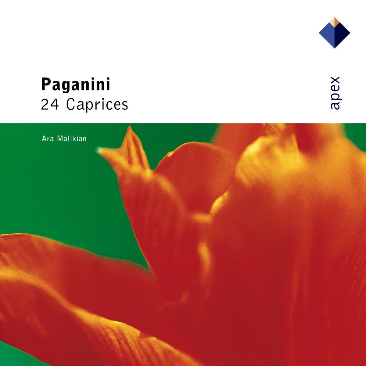 Album cover of Paganinni 24 Caprichos