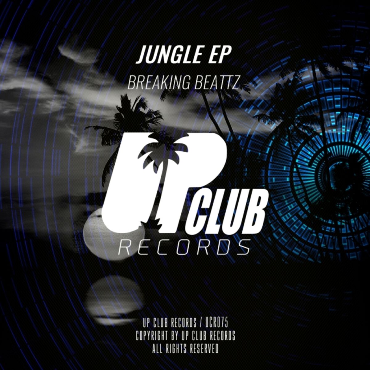 Album cover of Jungle