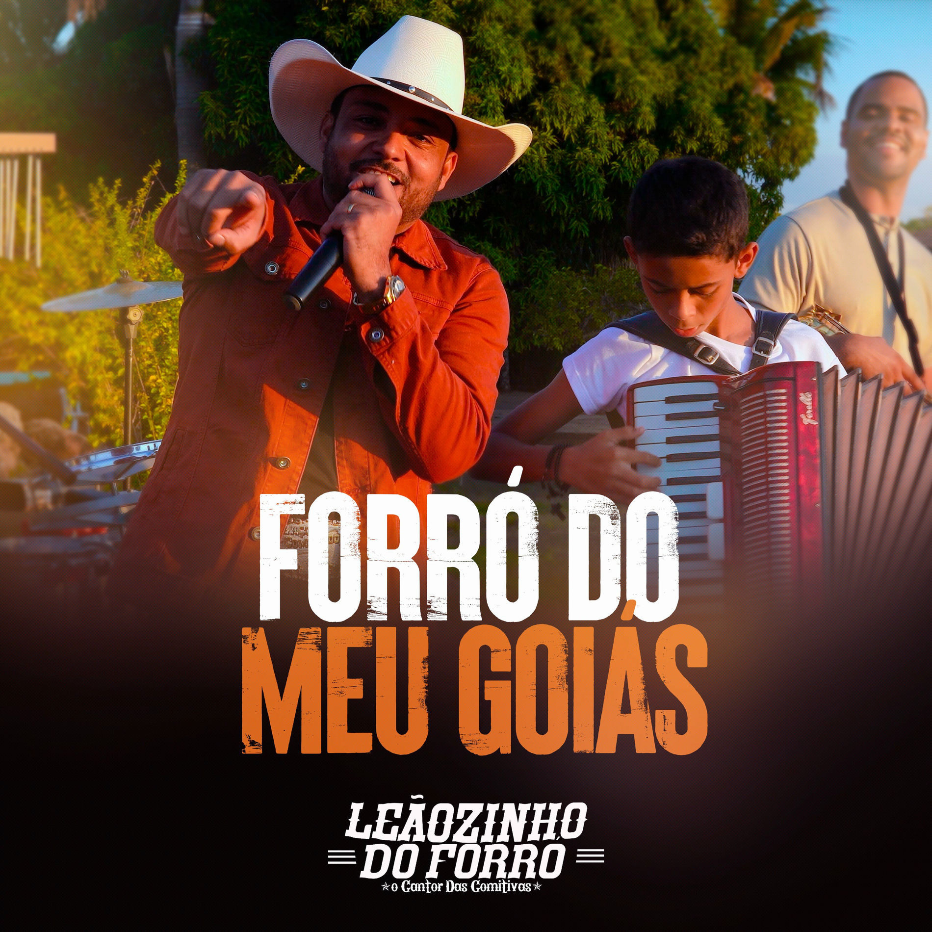 Album cover of Forró do Meu Goiás
