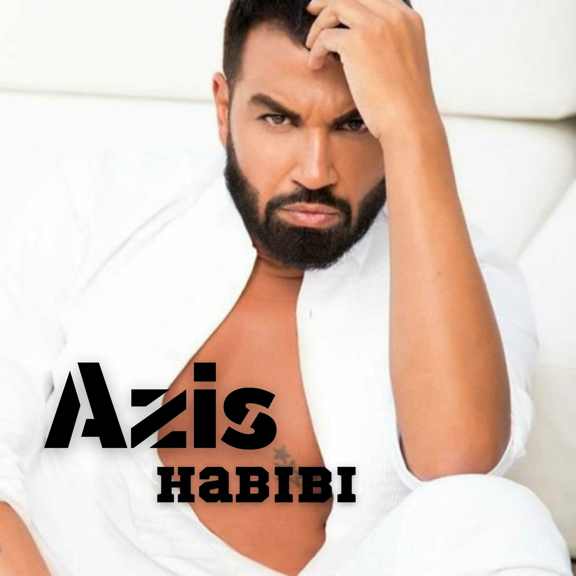 Album cover of Habibi