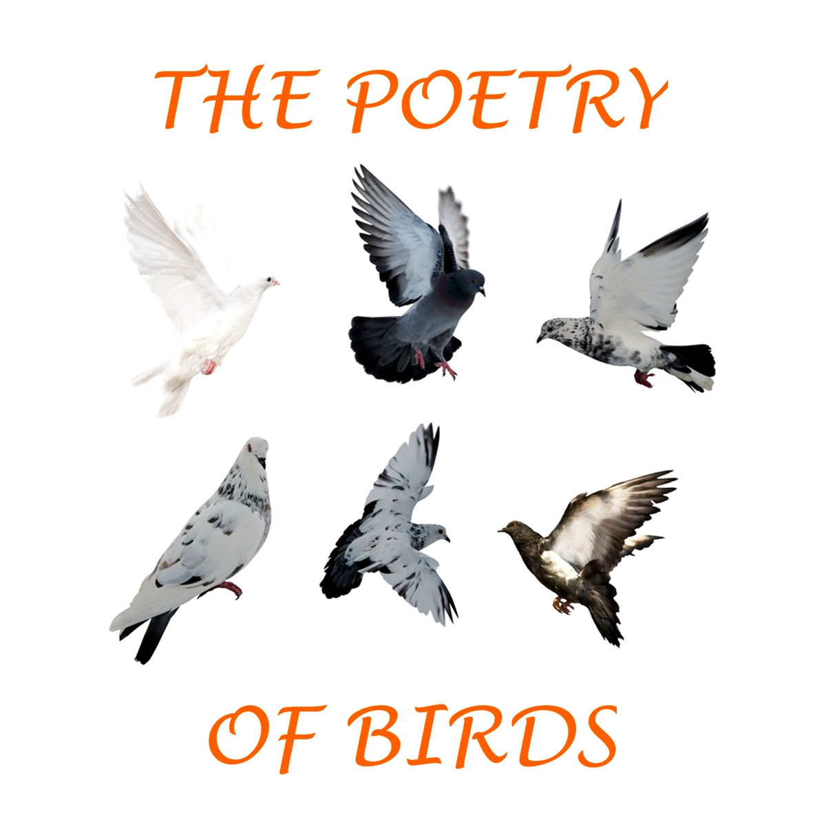 Album cover of The Poetry of Birds