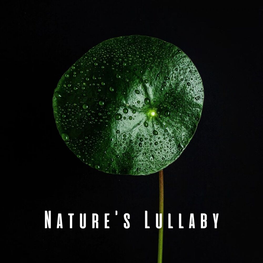 Picture of Nature's Lullaby: Binaural Rain Beats for Baby's Cozy Moments