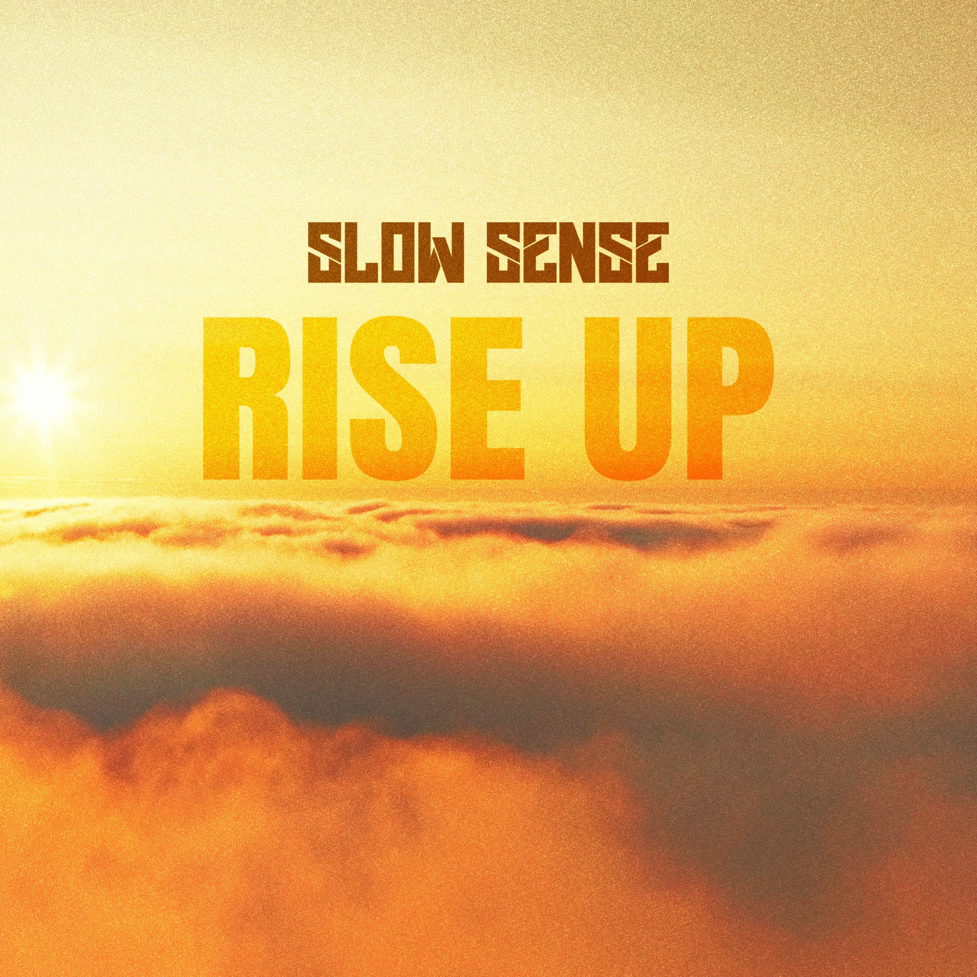 Album cover of Rise Up