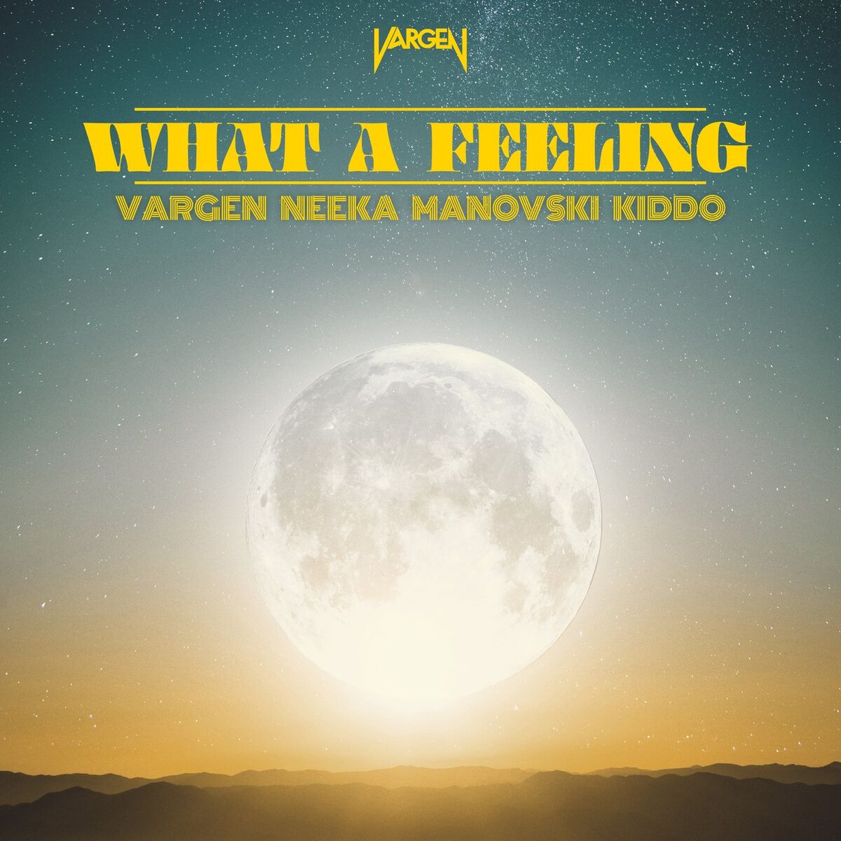 Album cover of What A Feeling