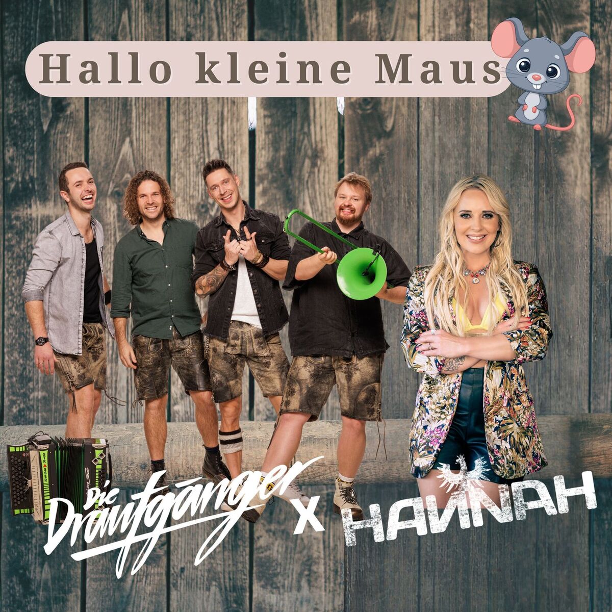 Album cover of Hallo kleine Maus