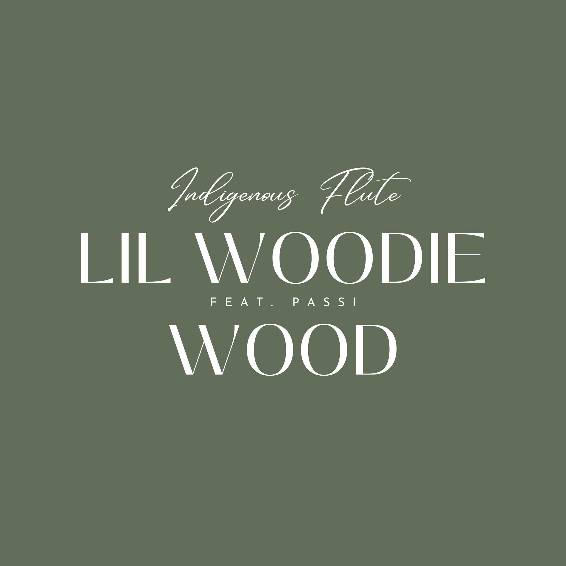 Album cover of Indigenous Flute (feat. Passi)