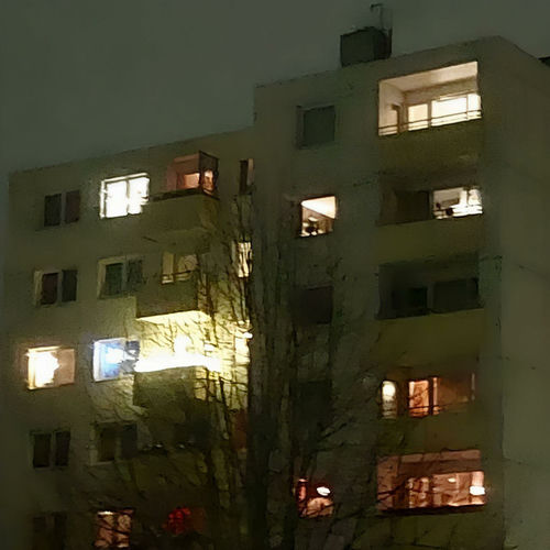 лечу жанель лечу